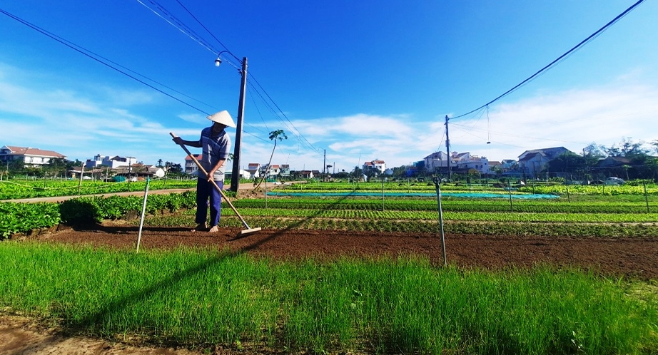 Tra Que Vegetable Village