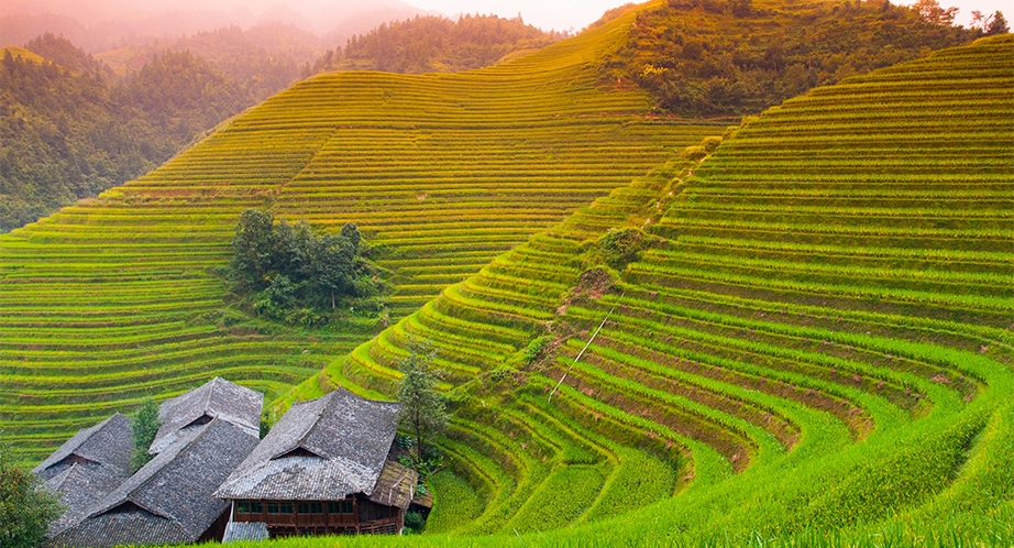 932-sapa-vietnam