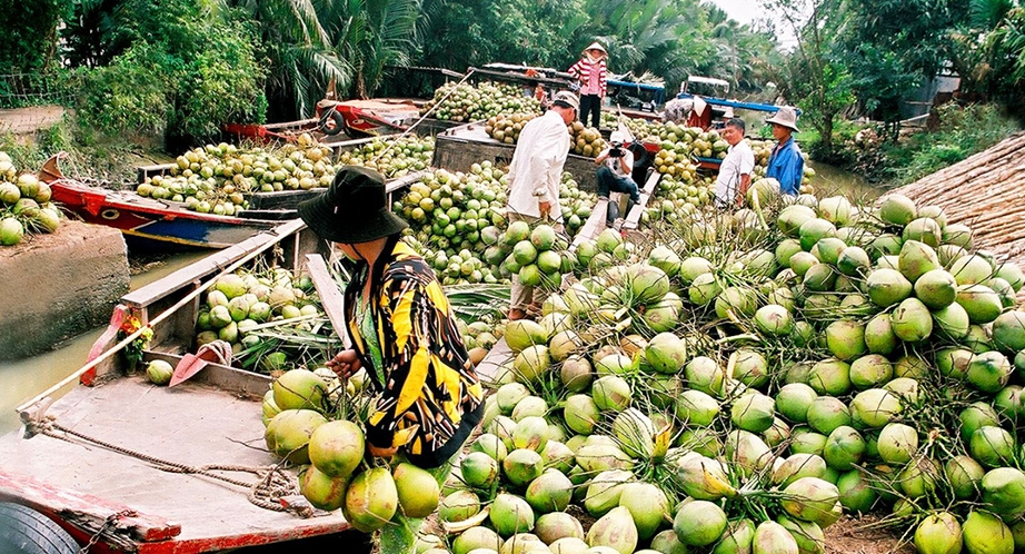922-coconut-ben-tre-mekong