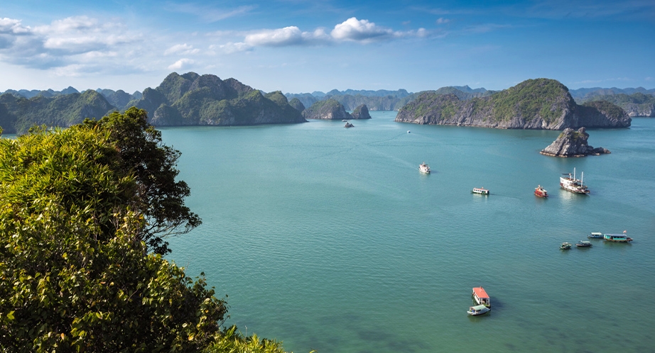 Halong Bay Cruise