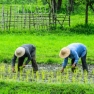 Eco-Farm Visit In Cambodia - A Guide For Sustainable Travel
