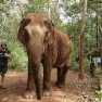 What To Do In Mondulkiri For 2 Days? Itinerary Review By Mr. Antoine