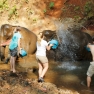 When To Visit Mondulkiri? Best Time To Visit Mondulkiri Cambodia