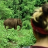 Top 20 Things To Do In Cambodia