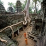 Visit Ta Prohm Temple In Angkor Complex When Travelling To Cambodia