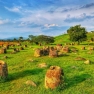 Review Of Virrion About Central Laos 7 Days Trip
