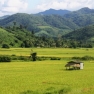 What To Do In Chiang Rai Thailand During Rainy Season?