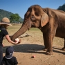 What To Do In Chiang Rai With Family? Activities In Chiang Rai With Kids