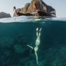 Where To Stay In Koh Phi Phi? Best 3 Star Hotels On Phi Phi Islands