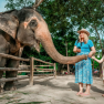 21-day Thailand Laos Itinerary Of M.Lebron’s Family