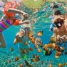 How Much Does Snorkeling In Thailand Cost?