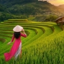 Vietnam Thailand Laos Cambodia Luxury Combined Tour 4 Weeks With Anna