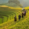 How Much Does A Vietnam 3 Weeks Trip Cost?