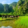 What To Do In Vietnam ? A 2-Week Agricultural And Cultural Itinerary