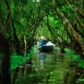 What To Do In Ben Tre When It Rains ?