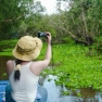 What To Do In An Giang ? A Visit At The Cajeput Forest Tra Su An Giang