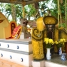 Things To Do And See In An Giang: Visit Tiger Island, Cu Lao Ong Ho An Giang