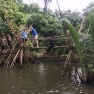 What Are The Top Things To Do In Mekong Delta Tour?