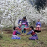 Review Of 1-week In Sapa Bac Ha Vietnam Itinerary By Laurine
