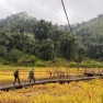 What Do Do In Lao Cai? Top Things To Do For Your Northern Vietnam Trip