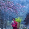 Remarks On A 6-day Trip To Cao Bang Ha Giang And Sapa By Mr. Radley