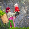Visit Ha Giang In 3 Days: Travel Itinerary Review By Mr. Faure