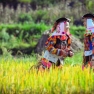 Ha Giang Complete Travel Guide – What To Know Before Visiting Vietnam