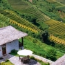 Top 8 Luxury Hotels With Rice Terrace Views In Northern Vietnam