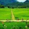 Review Of A Week In Mai Chau Pu Luong Tam Coc Halong By Mr. Kelly