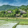 Lac Village: Unveiling Mai Chau's Cultural Gem