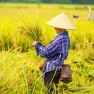 Mai Chau In November - Top Things To Do And See
