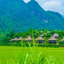 Discover Poom Coong Village : A Cultural Gem In Mai Chau, Vietnam