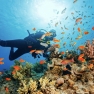What To Do In Phu Quoc In 3 Days? Itinerary Review By Mr. Alexis