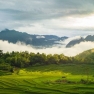 Pu Luong Travel Guide: Uncover The Secret To Capturing Beautiful Photos In Pu Luong