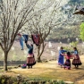 Where To Go In January? Top Best Warm Countries To Visit In January 