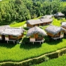 Experience A Night At A Homestay In Vietnam: What To Do With Locals?