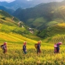 Review Of The Yen Bai Itinerary 2 Days In Northern Vietnam By Mr. Opée