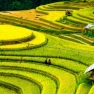 Yen Bai In 5 Days: Northern Vietnam Itinerary Review By Diop Family