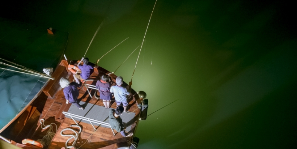 Squid fishing at night