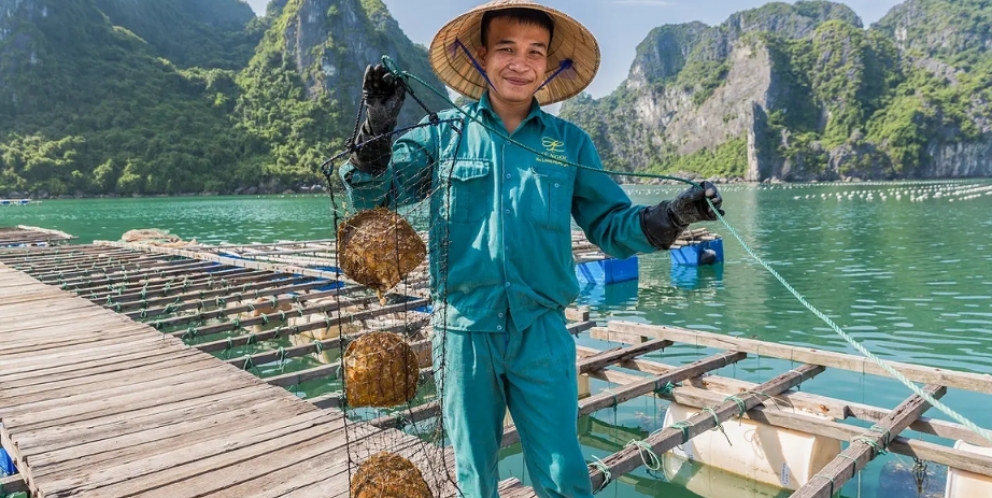 Meet locals in Pearl Farm 