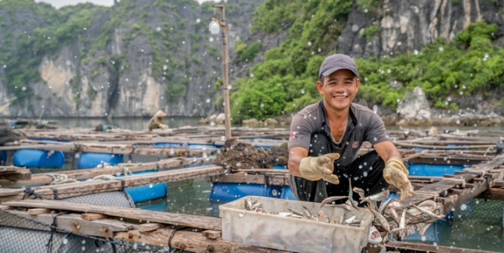 Explore fishing village 