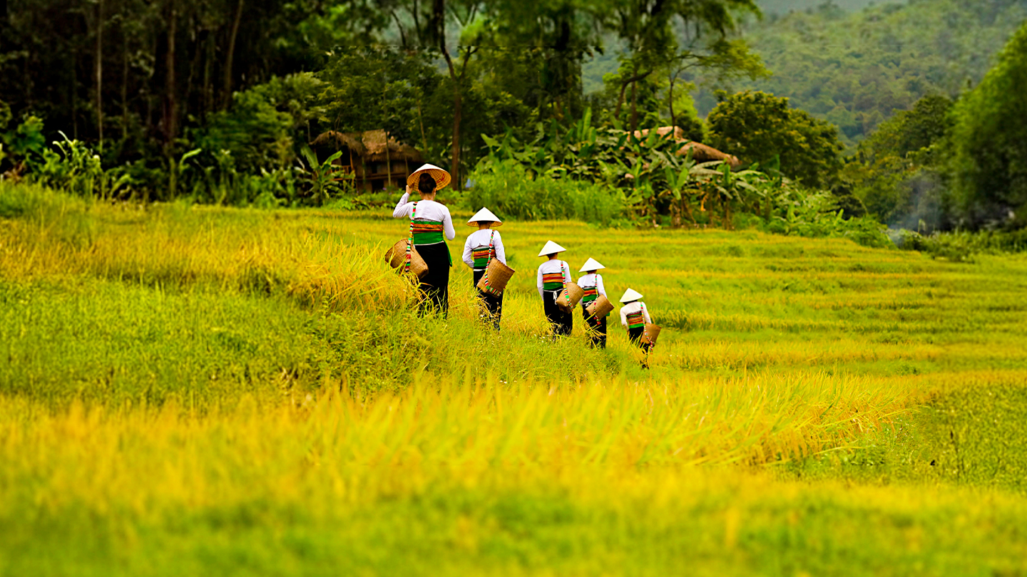 Pu Luong Vietnam