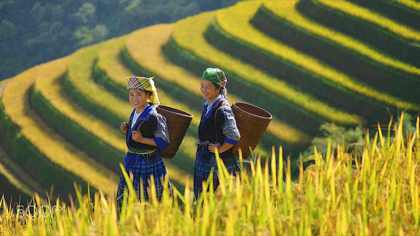 MULTI-COUNTRY TOURS