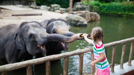 Laos family trip cost - daily budget and money-saving tips