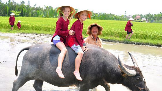Best experiences in Vietnam in 3 weeks for your trip