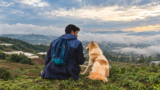Top 6 pet-friendly hotels in Laos for traveling with your pet