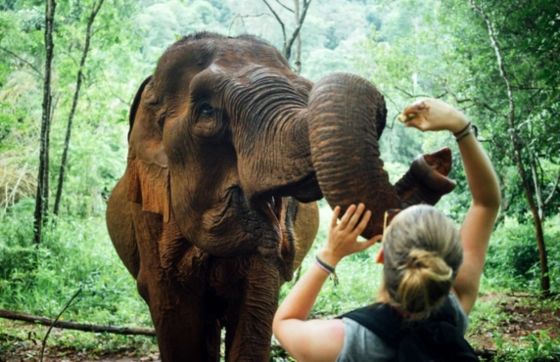 Top family-friendly activities to do in Mondulkiri with kids