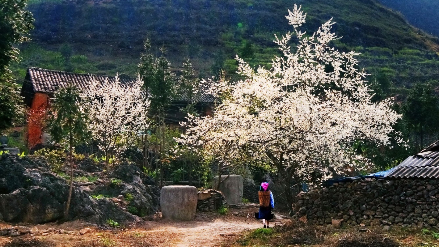 Trekking to Ban Buoc village, Mai Chau