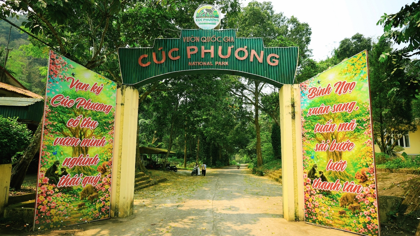 Exploring nature at Cuc Phuong National Park