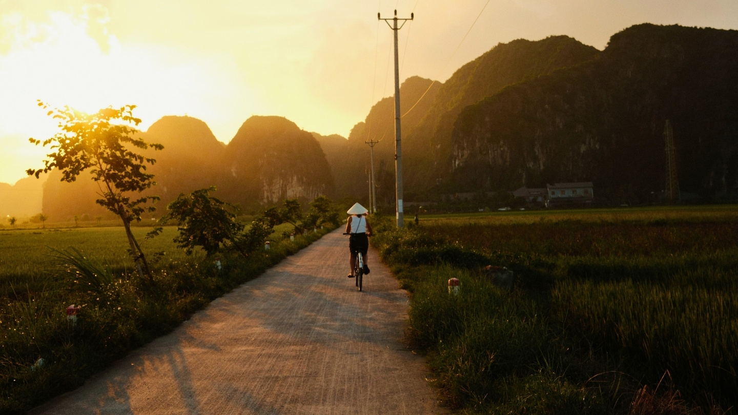 Cycling along rice fields in Ninh Binh
